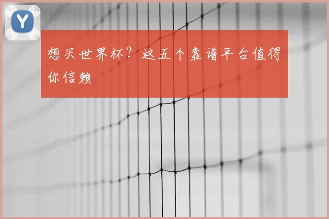 想买世界杯？这五个靠谱平台值得你信赖