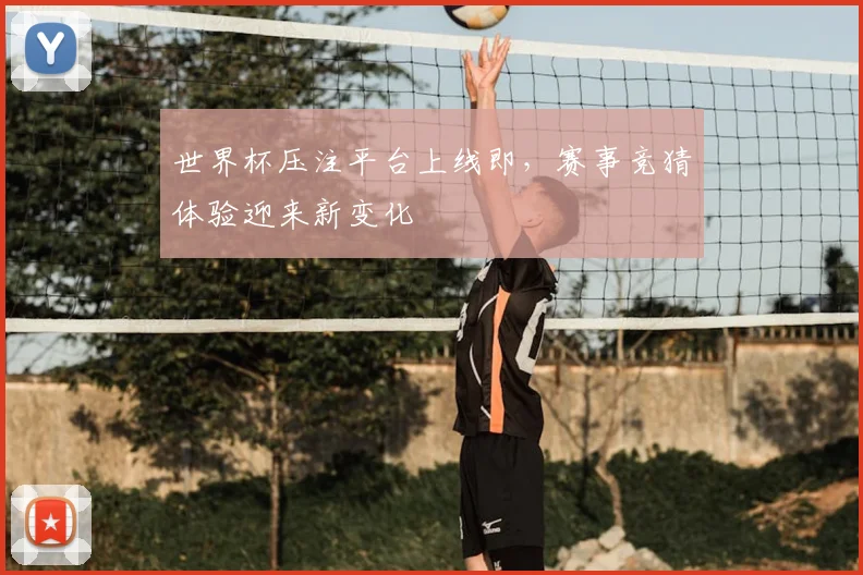 世界杯压注平台上线即，赛事竞猜体验迎来新变化
