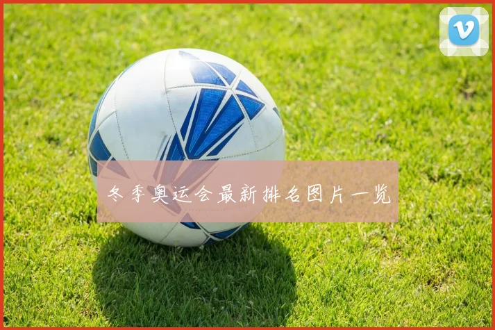 冬季奥运会最新排名图片一览