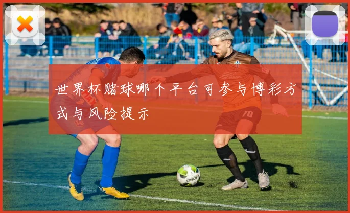 世界杯赌球哪个平台可参与博彩方式与风险提示