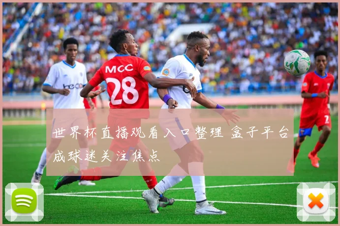 世界杯直播观看入口整理 盒子平台成球迷关注焦点