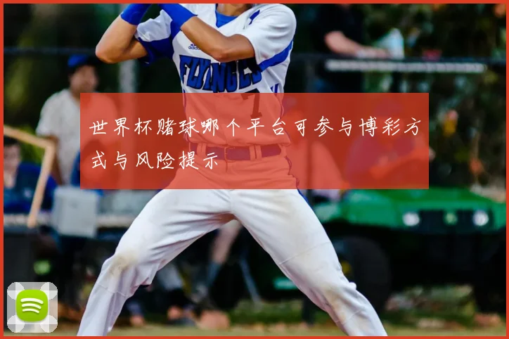 世界杯赌球哪个平台可参与博彩方式与风险提示