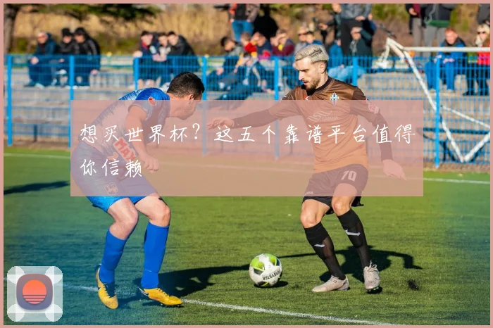 想买世界杯?这五个靠谱平台值得你信赖